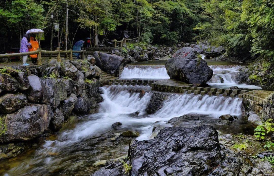 牛油果面包